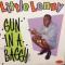GUN IN A BAGGY (LP)