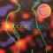 BOOGIE DOWN (LP)||