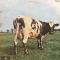 ||ATOM HEART MOTHER