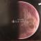 HIDDEN PLANET