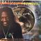 SPIRITUAL REVOLUTION (LP)