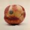NECTARINE