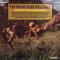THE ERA OF HANK WILLIAMS