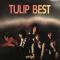TULIP BEST