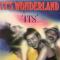 IT`S WONDERLAND