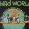 ROCK THE WORLD (LP)