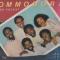 IN THE POCKET (LP)
