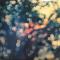 OBSCURED BY CLOUDS