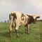 ATOM HEART MOTHER