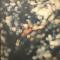 OBSCURED BY CLOUDS