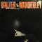 SUMMER SAMBA / THE BEST OF WALTER WANDERLEY