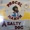 A SALTY DOG
