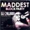 THE BEST OF BRAND NEW HIP HOP PARTY MIX VOL.109