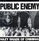 HAZY SHADE OF CRIMINAL
