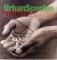 ||SPIRITUAL LOVE (UK)