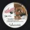 I Tried-Rmx / Put Ya Hands Up 2007 (Hot Flavorz Vol.15)