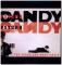 PSYCHOCANDY (見本盤)