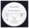 Other Side of A Playa / Tonight Is The Night (My Perception-EP)