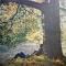 John Lennon / Plastic Ono Band