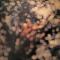Obscured By Clouds