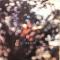 Obscured By Clouds