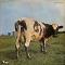 Atom Heart Mother: 原子心母