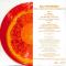 (Sun Is Mellow Like A) Tangerine