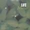 Life: Toshihiko Mori Remix