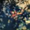 Obscured By Clouds: 雲の影