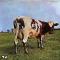 Atom Heart Mother: 原子心母