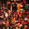 Love & Regret / Down In The Flood / Undeveloped Heart