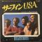 Surfin U.S.A.