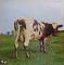 Atom Heart Mother