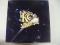 Who Do Ya (Love)   KC彗星