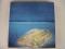 The Edgar Winter Group With Rick Derringer  謎の発光物体