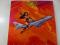 S & M Airlines