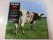 Atom Heart Mother