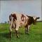 Atom Heart Mother ||原子心母