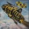 Clear Air Turbulence