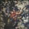 Obscured By Clouds 