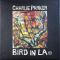 Bird In LA