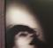 Telegraphs In Negative / Mouths Trapped In Static