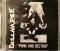 Punk And Destroy