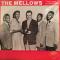 Lilian Leach And The Mellows