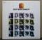 JEFF BECK GROUP