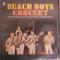 BEACH BOYS CONCERT
