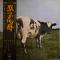 ATOM HEART MOTHER(原子心母)