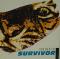 The Best Of Survivor||