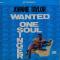 Wanted One Soul Singer ||