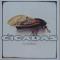 The Cicadas
